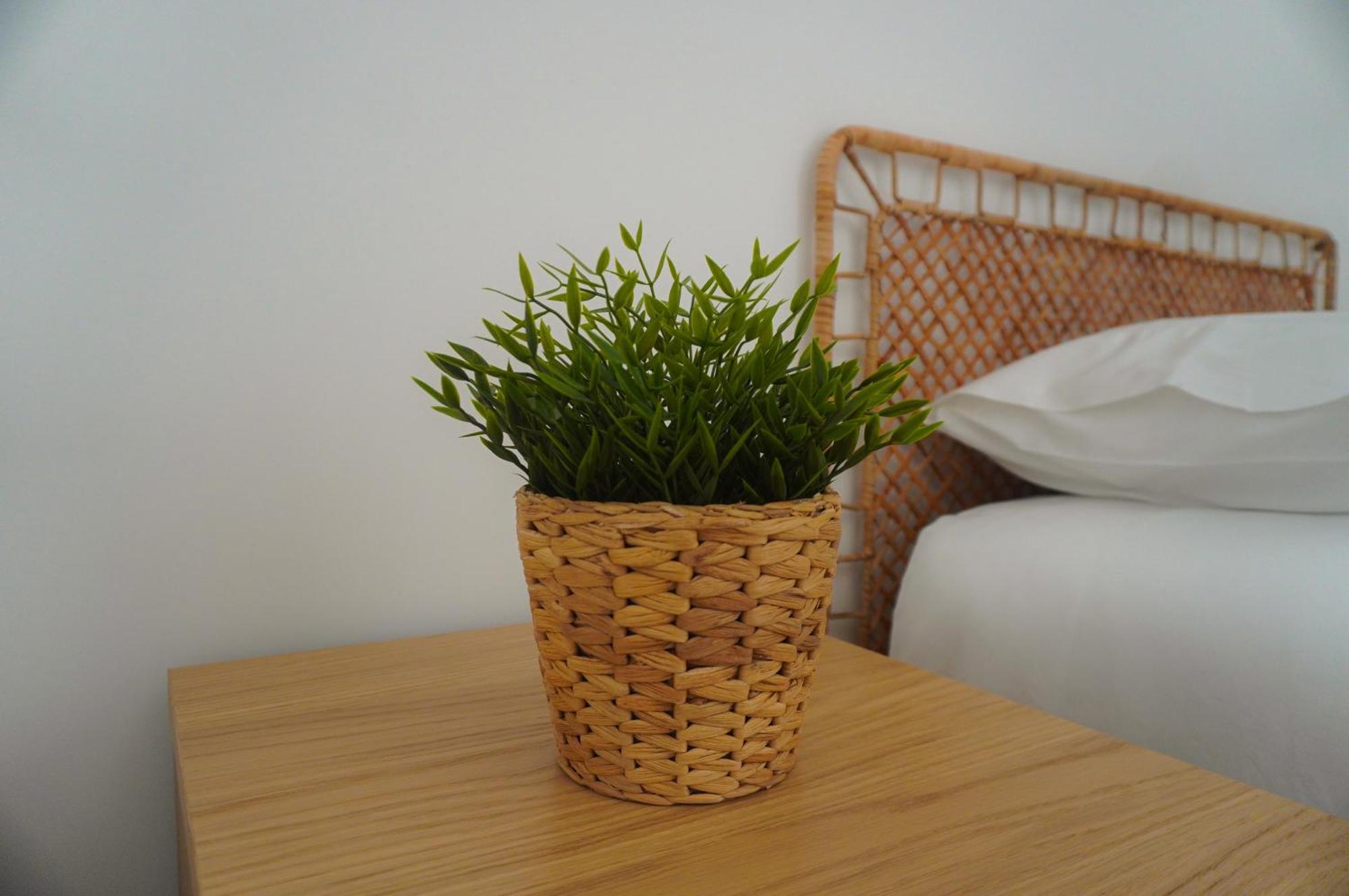 Apartment Fortaleza